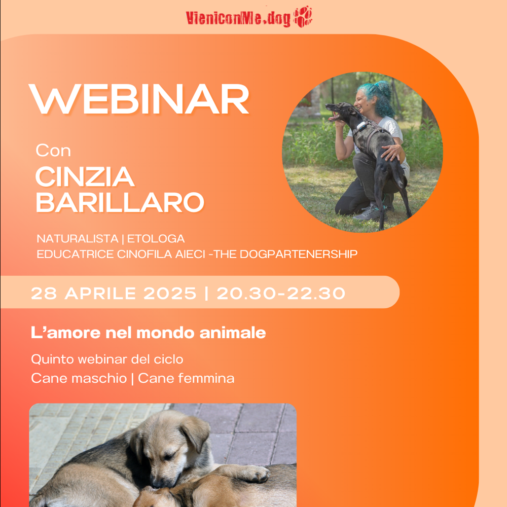 Immagine evento