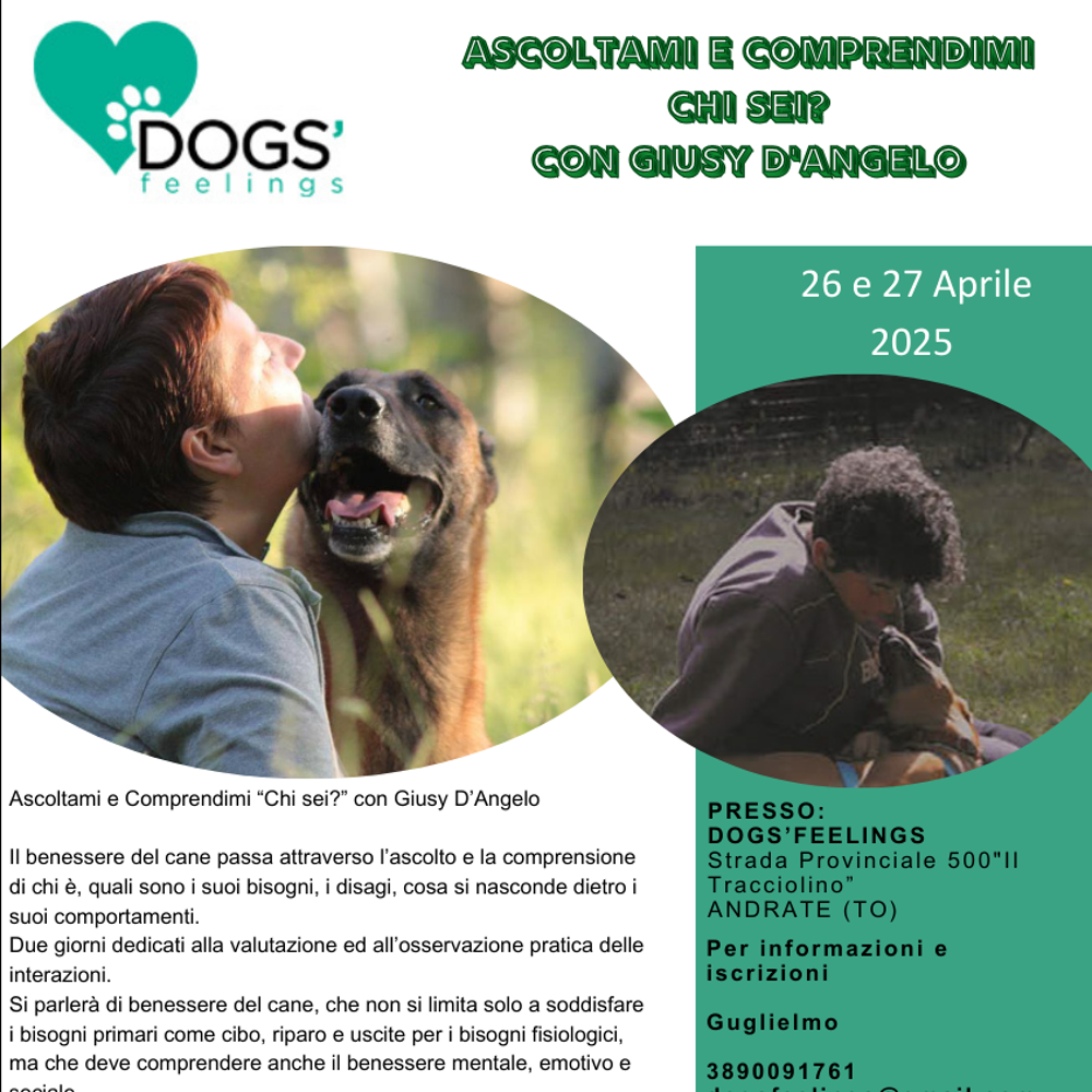 Immagine evento