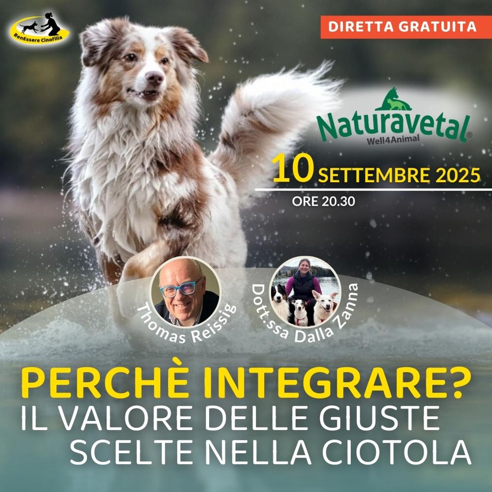 Immagine evento