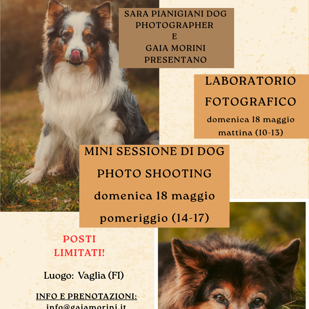 Immagine evento