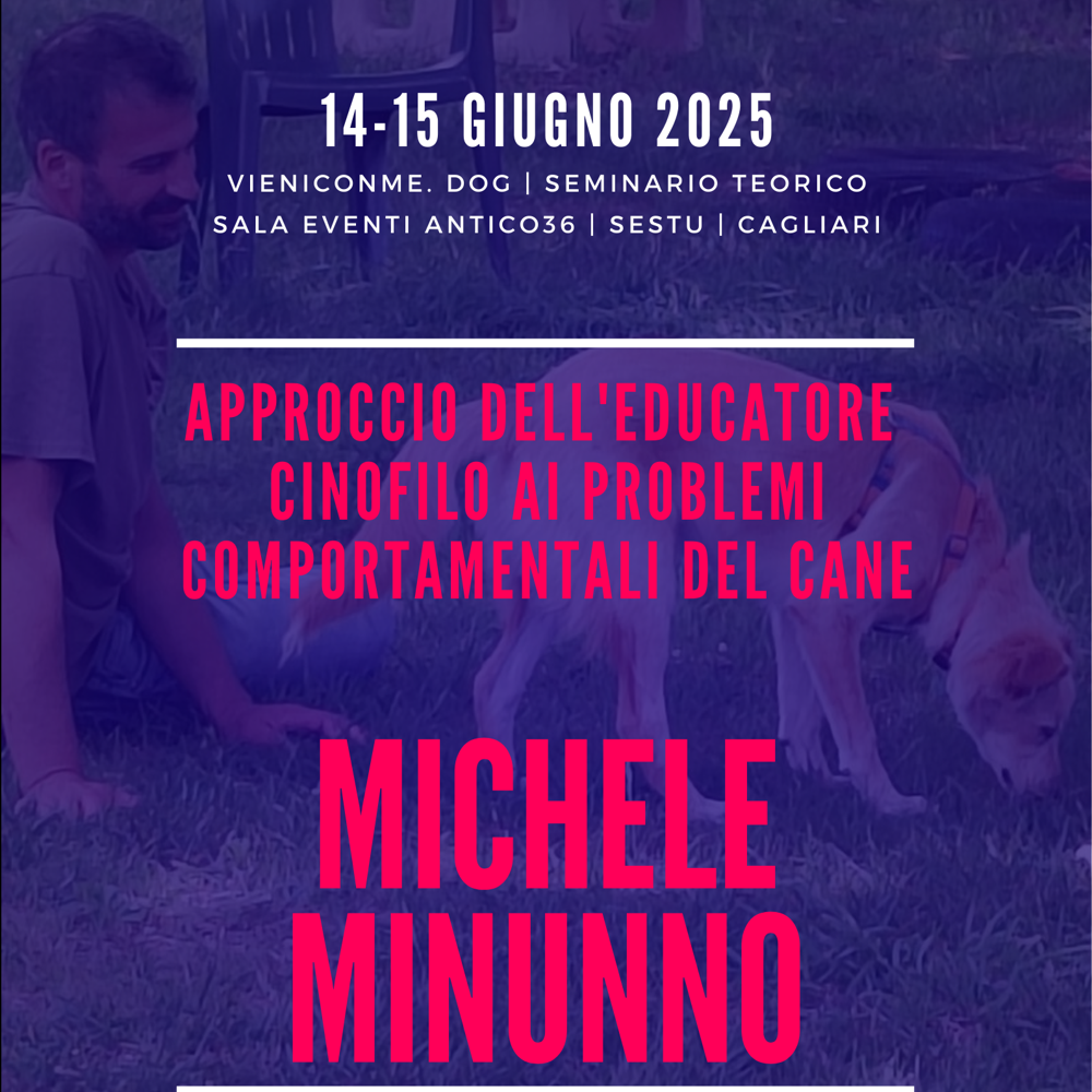 Immagine evento