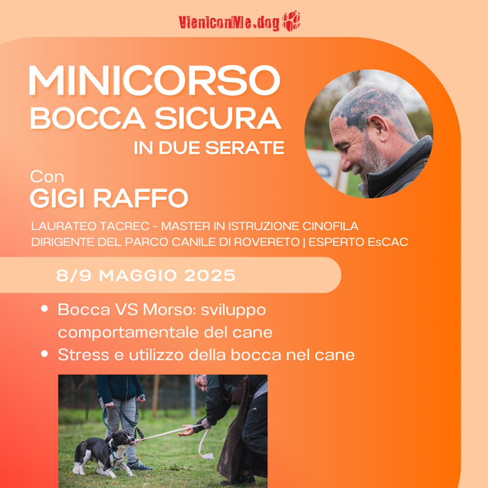 Immagine evento
