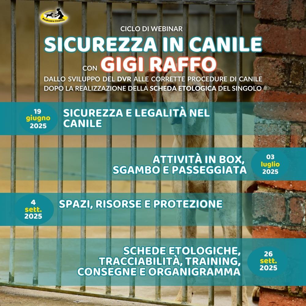 Immagine evento