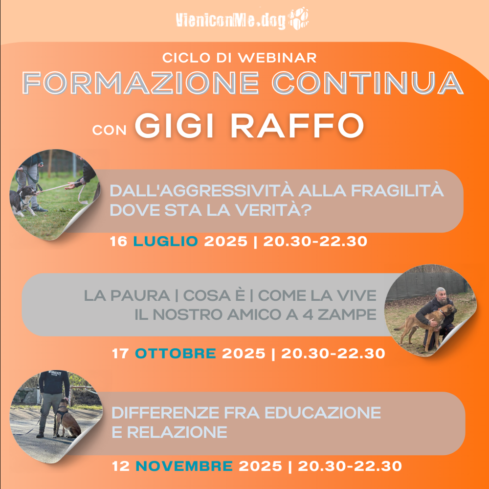 Immagine evento