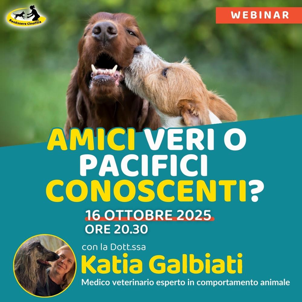 Immagine evento