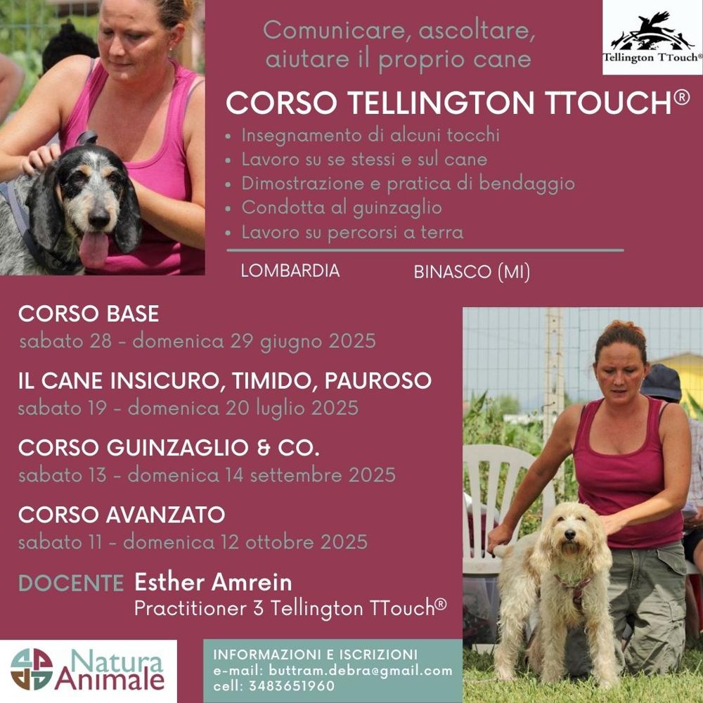 Immagine evento
