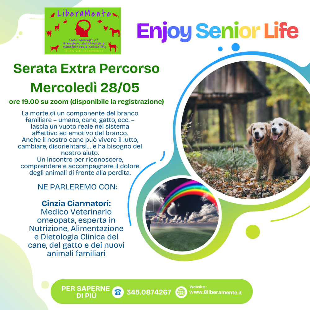 Immagine evento