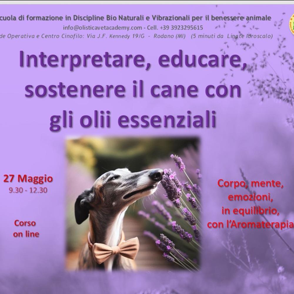 Immagine evento