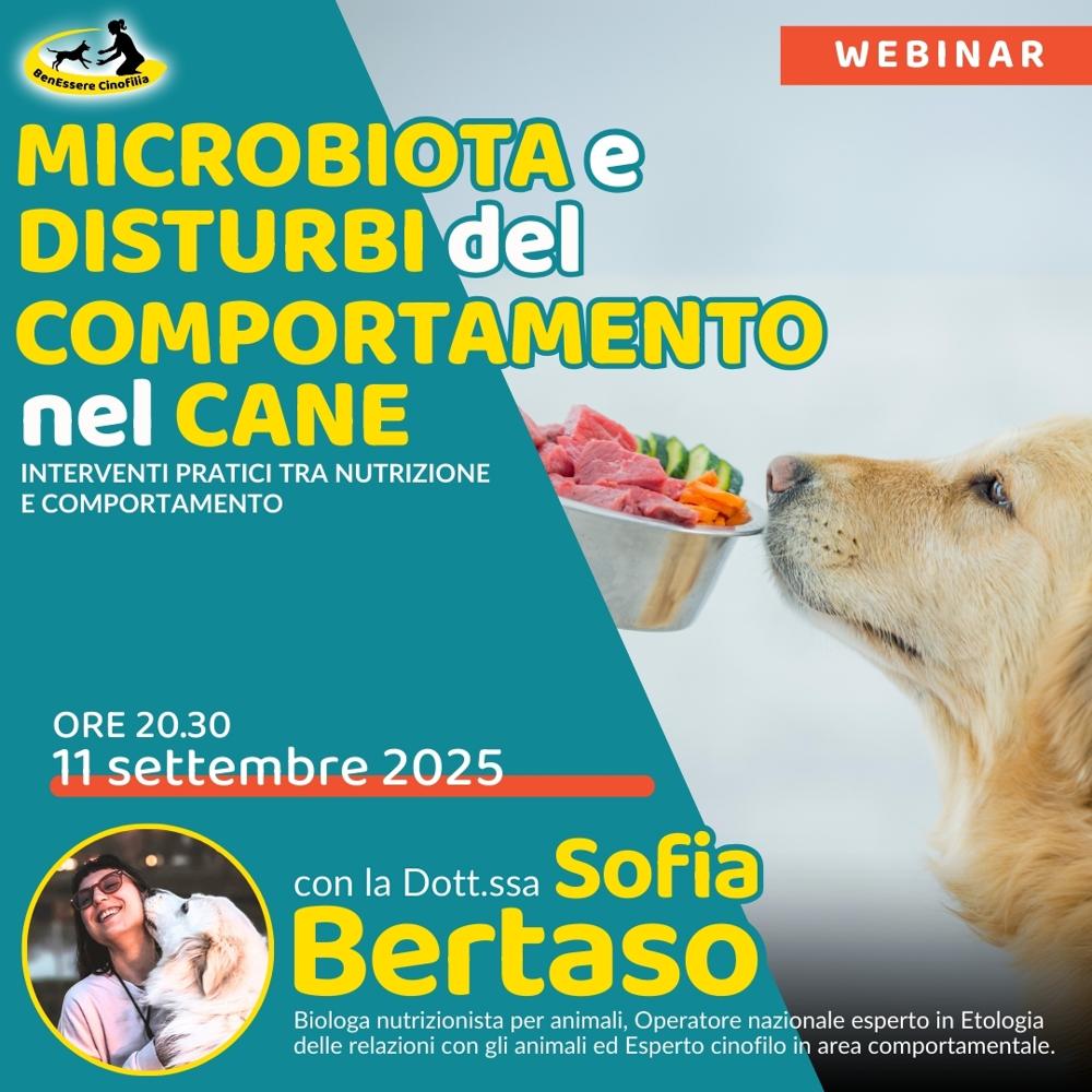 Immagine evento