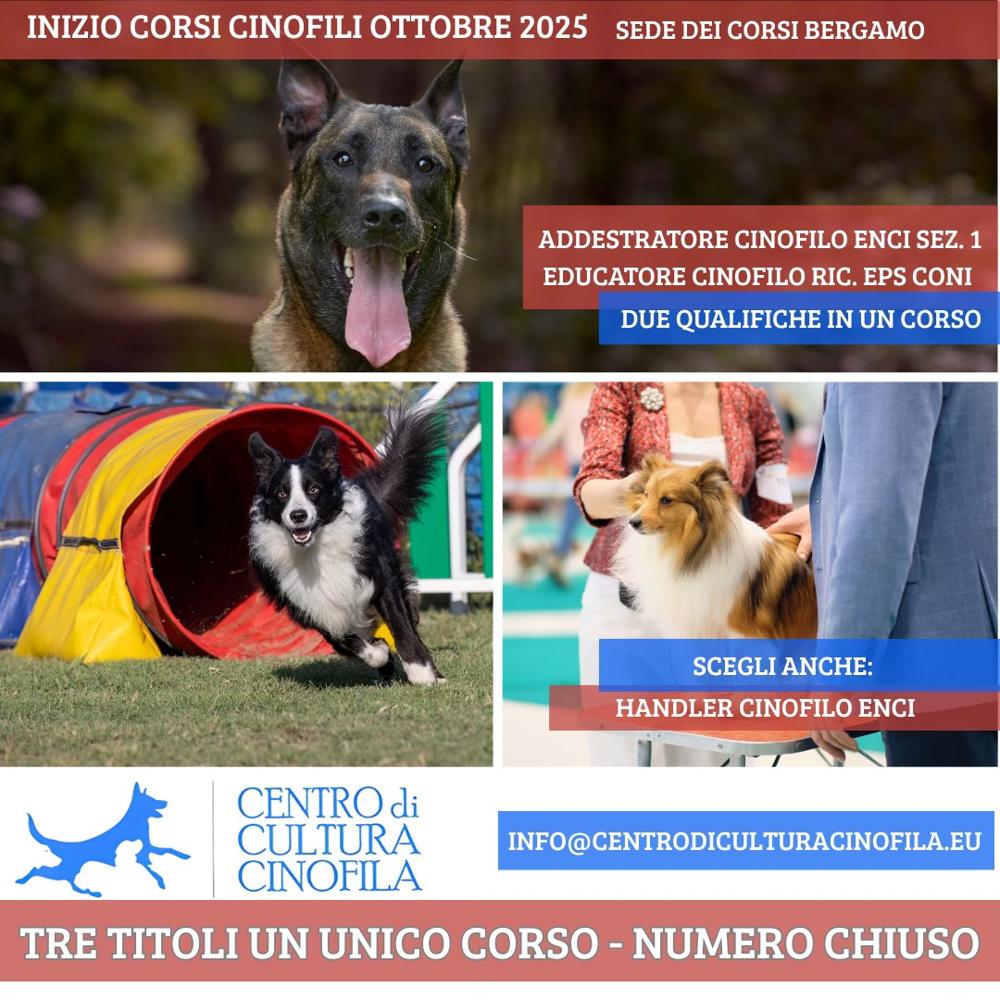 Immagine evento