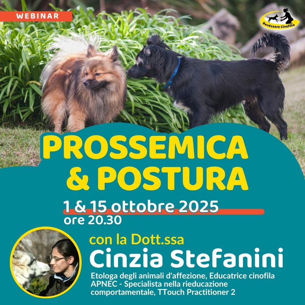 Immagine evento
