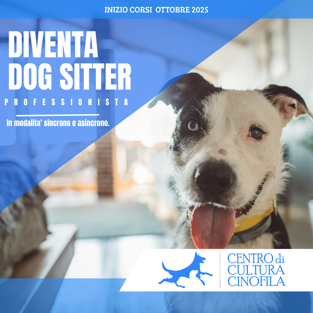 Immagine evento
