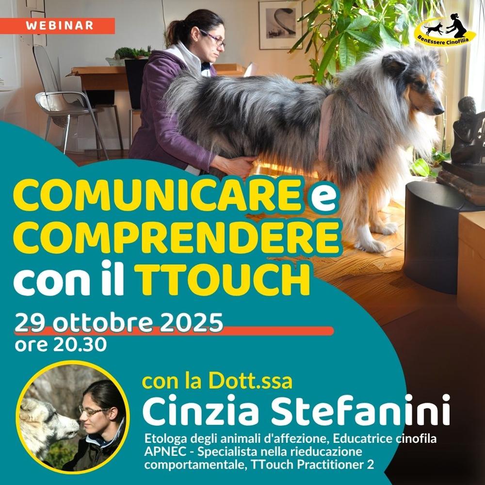 Immagine evento