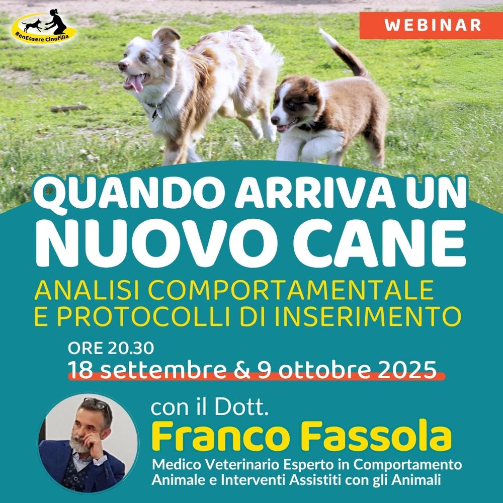 Immagine evento