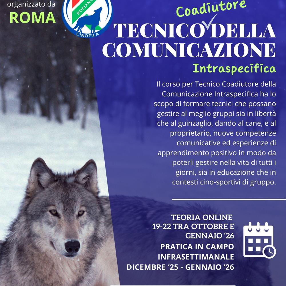 Immagine evento