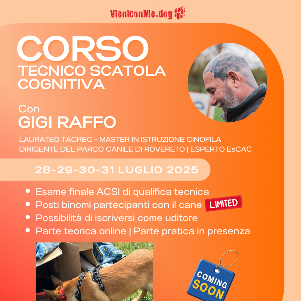 Immagine evento