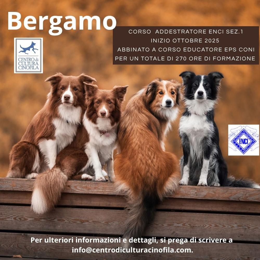 Immagine evento