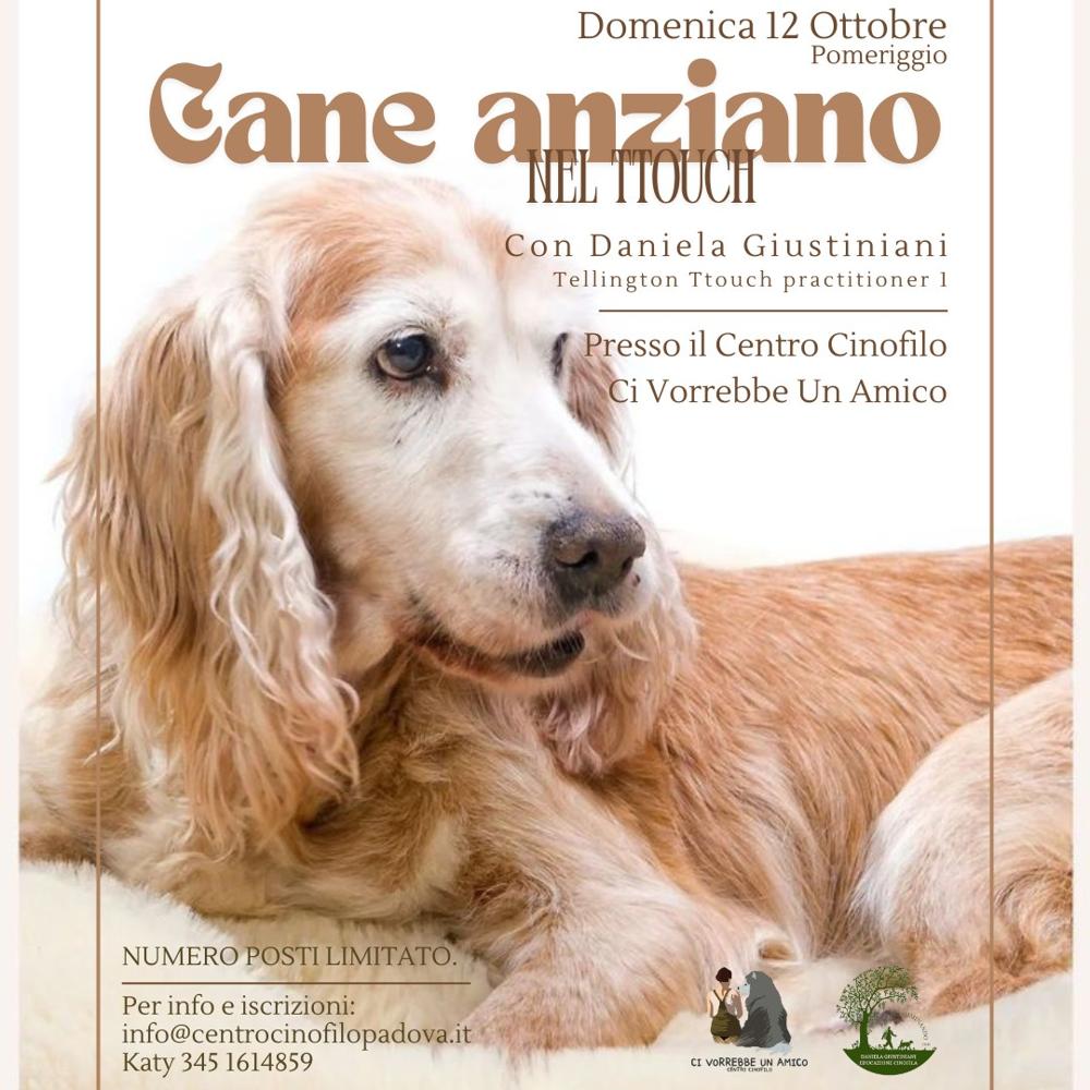 Immagine evento