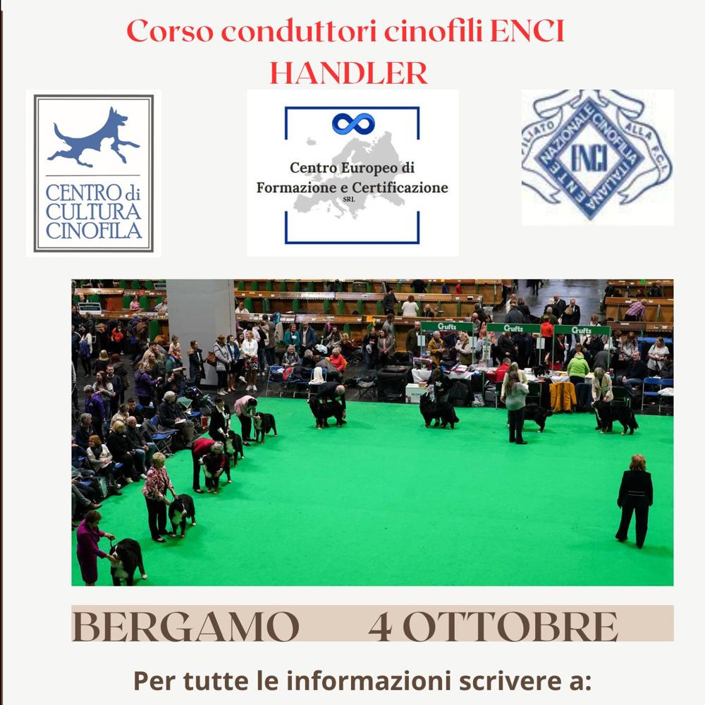 Immagine evento