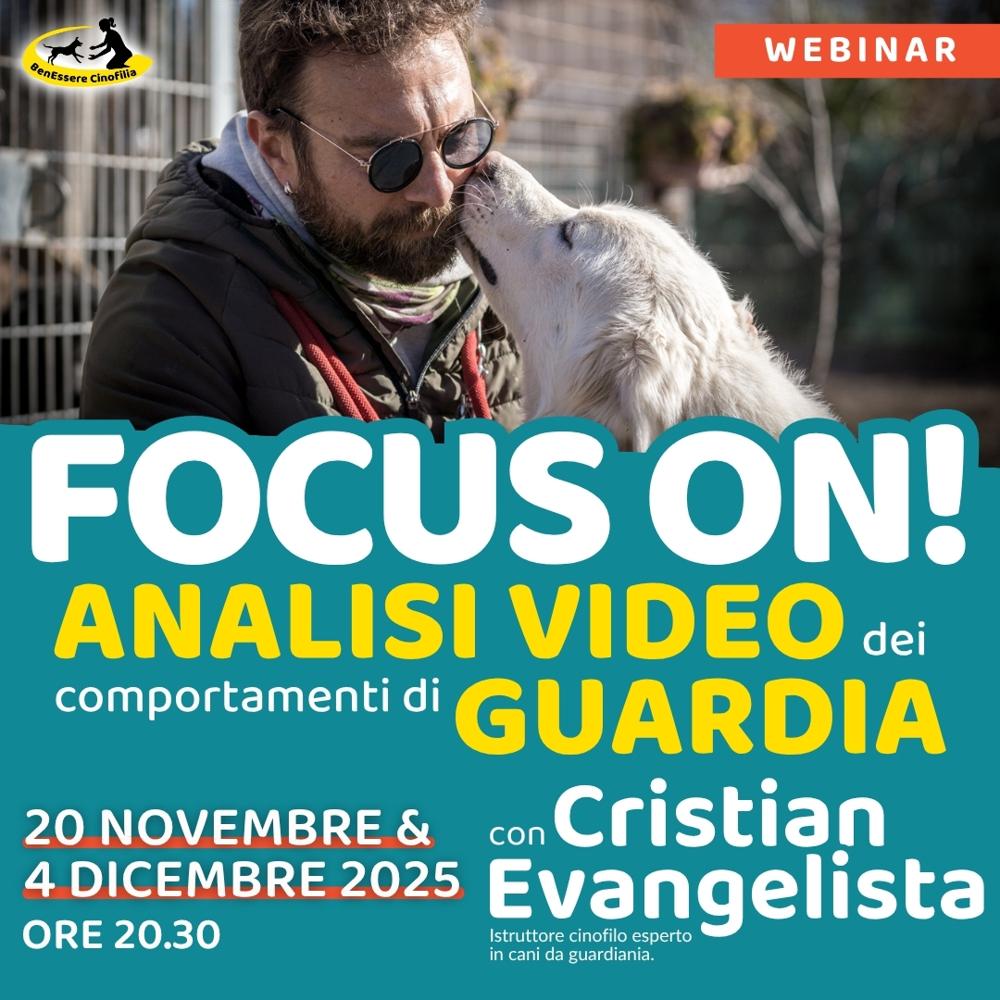 Immagine evento