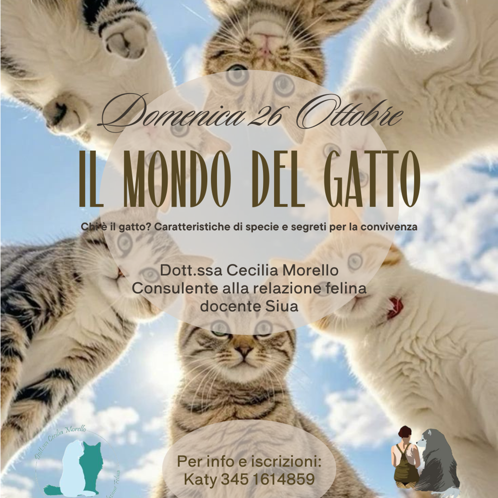Immagine evento