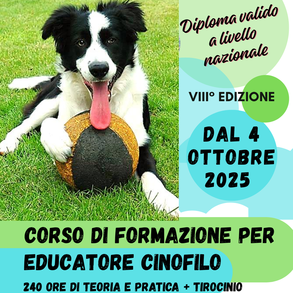 Immagine evento