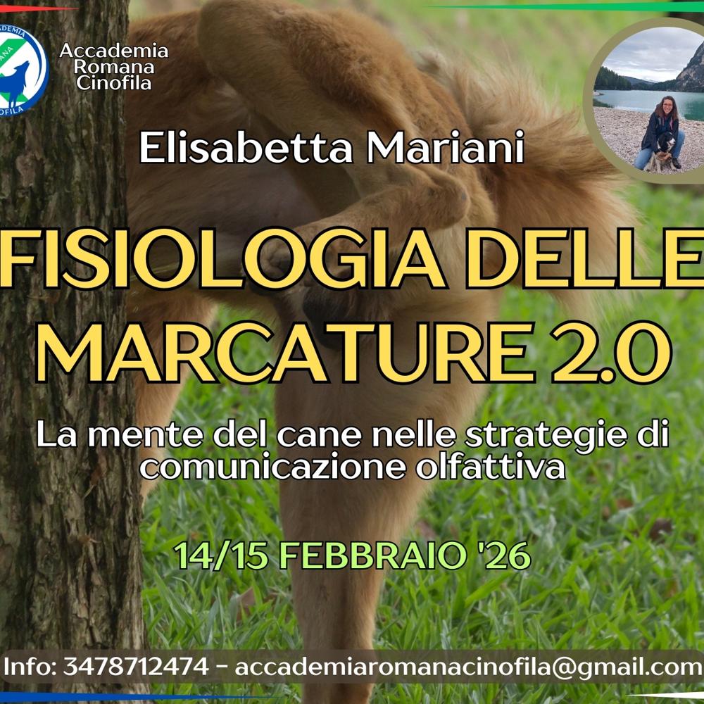 Immagine evento