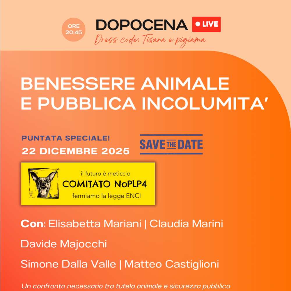 Immagine evento