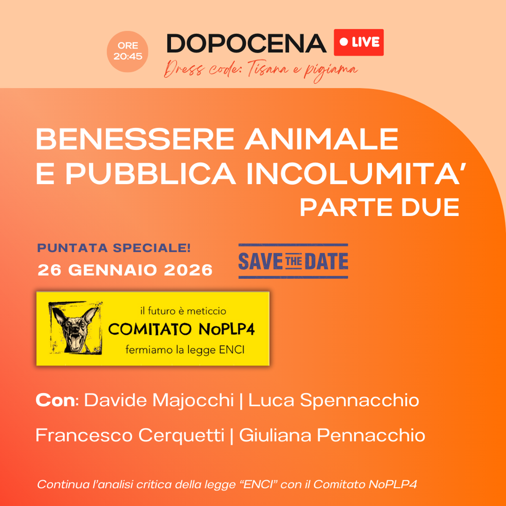 Immagine evento
