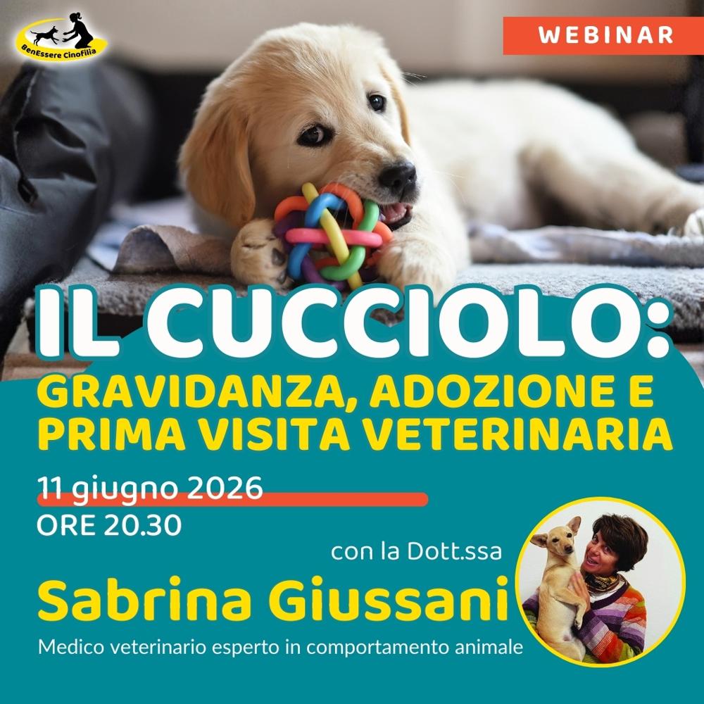 Immagine evento
