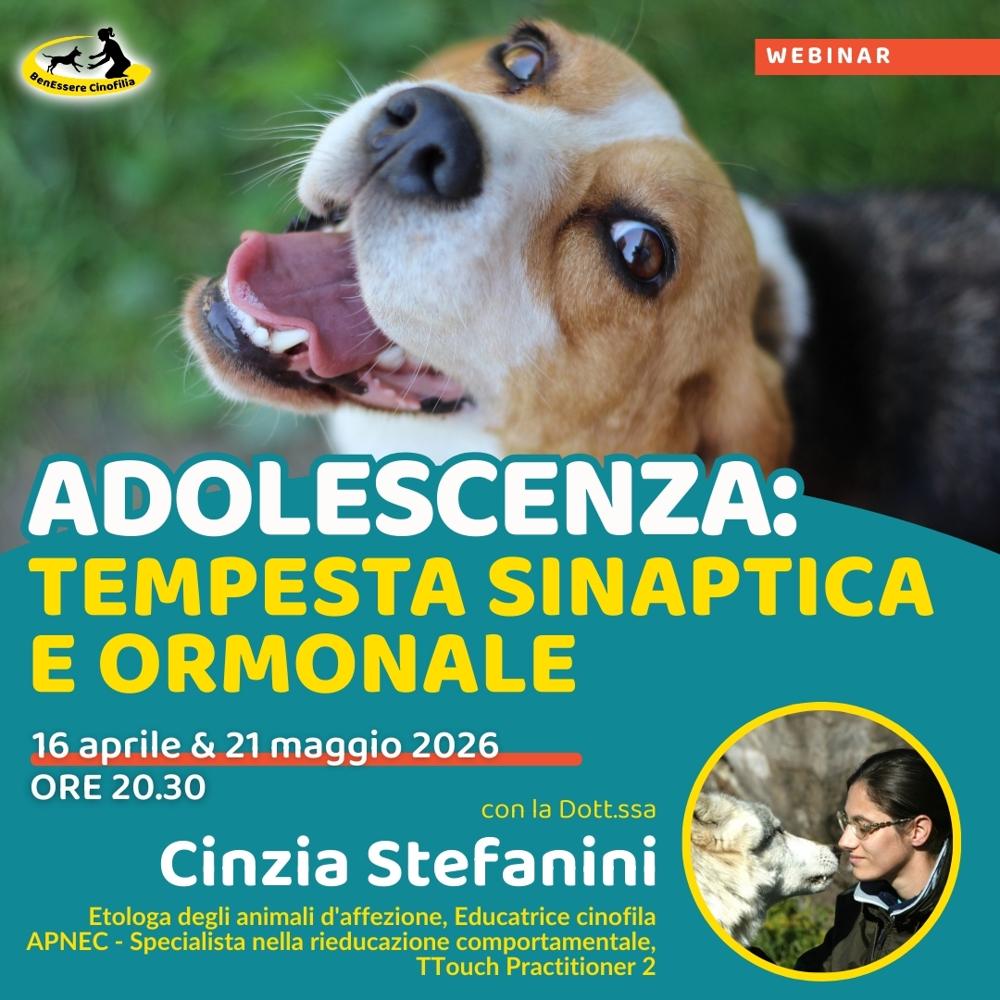Immagine evento