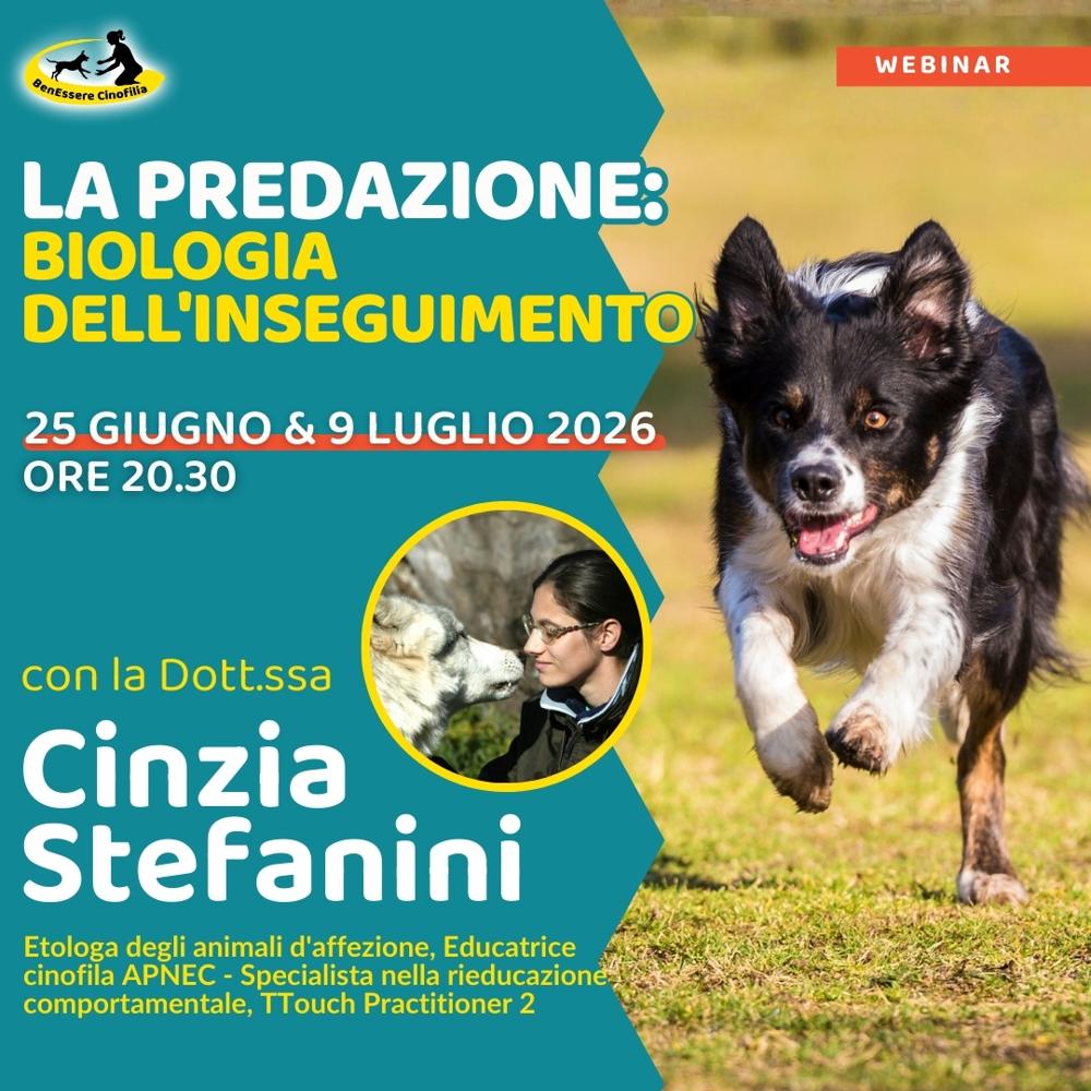 Immagine evento