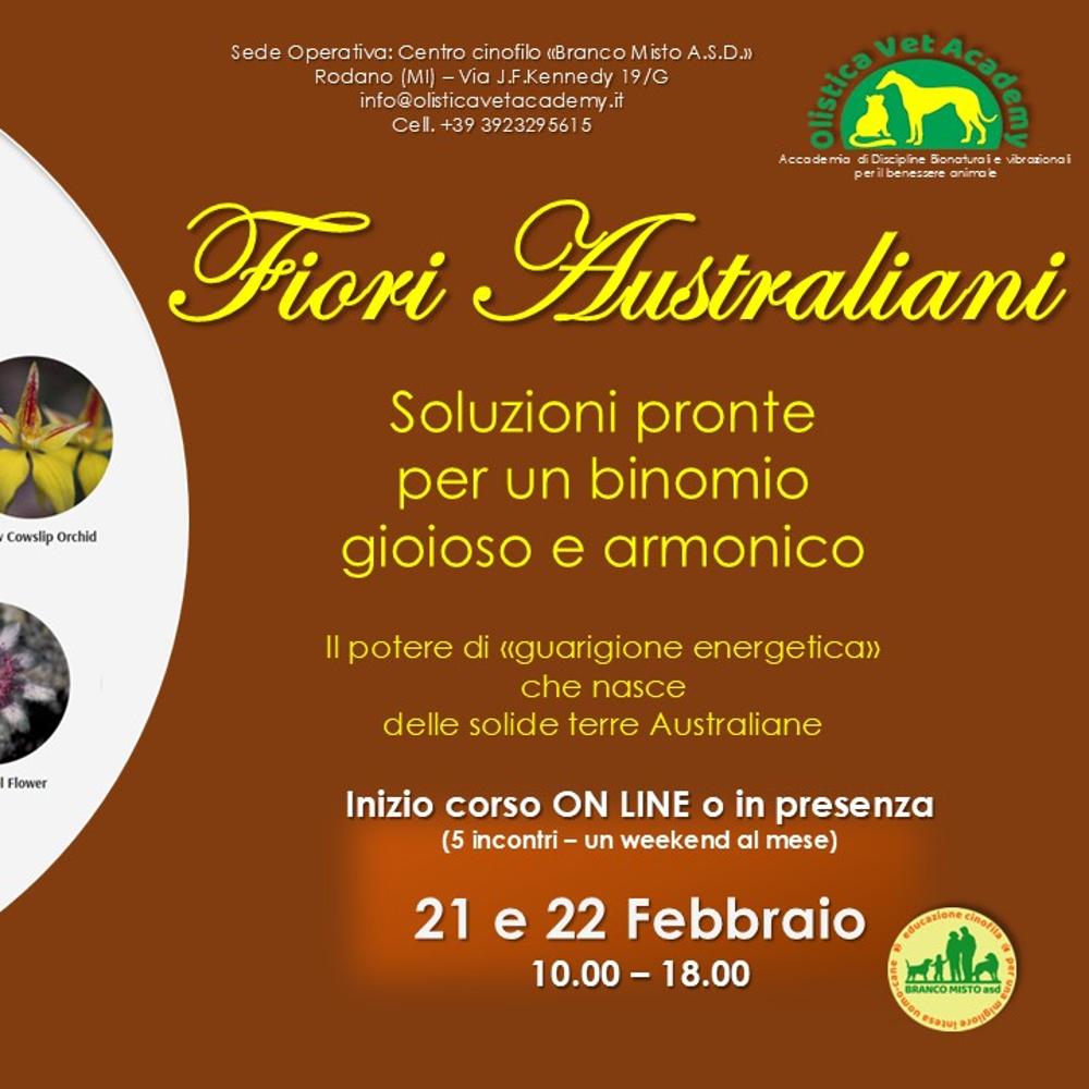 Immagine evento