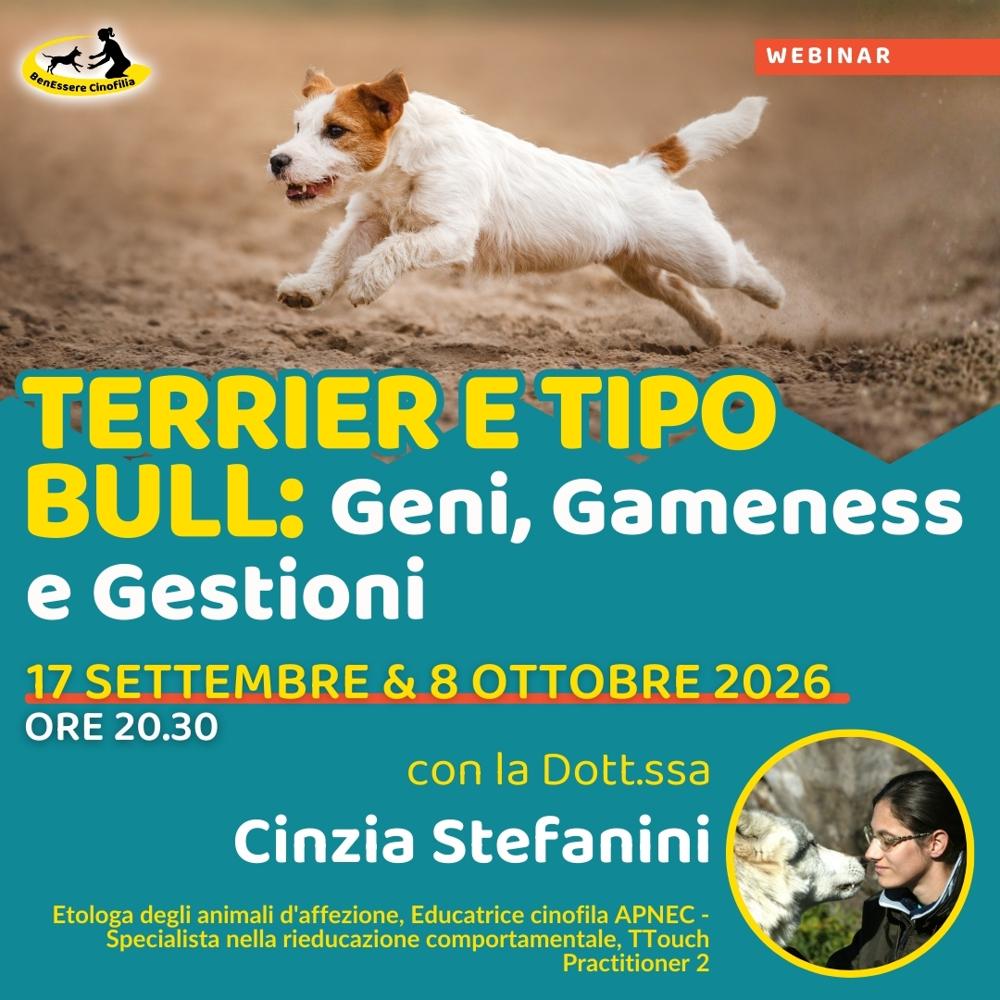 Immagine evento