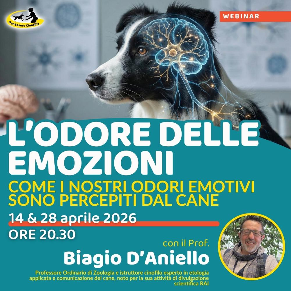 Immagine evento