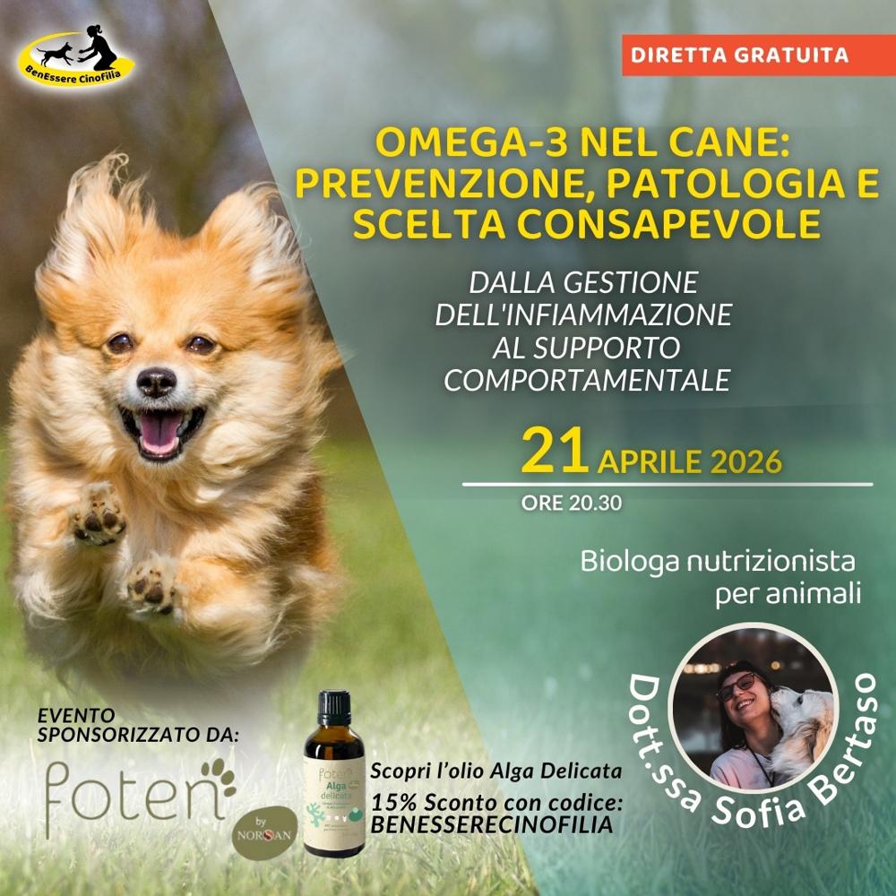 Immagine evento