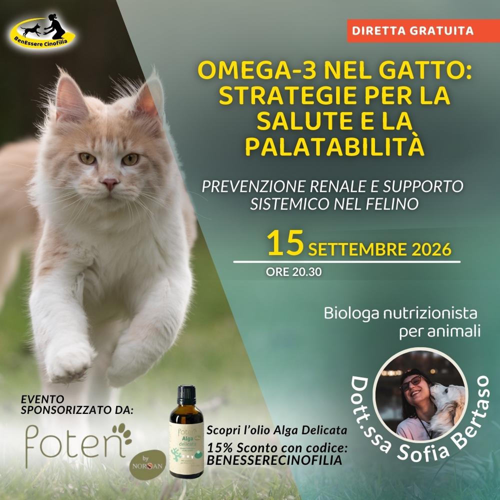 Immagine evento