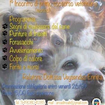 Immagine evento