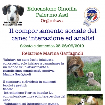 Immagine evento