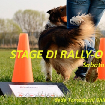 Immagine evento