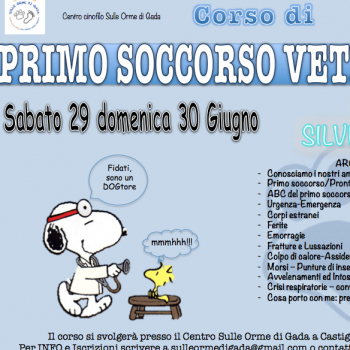 Immagine evento