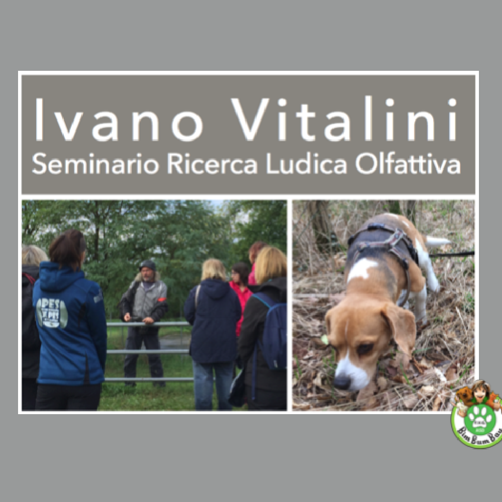 Immagine evento