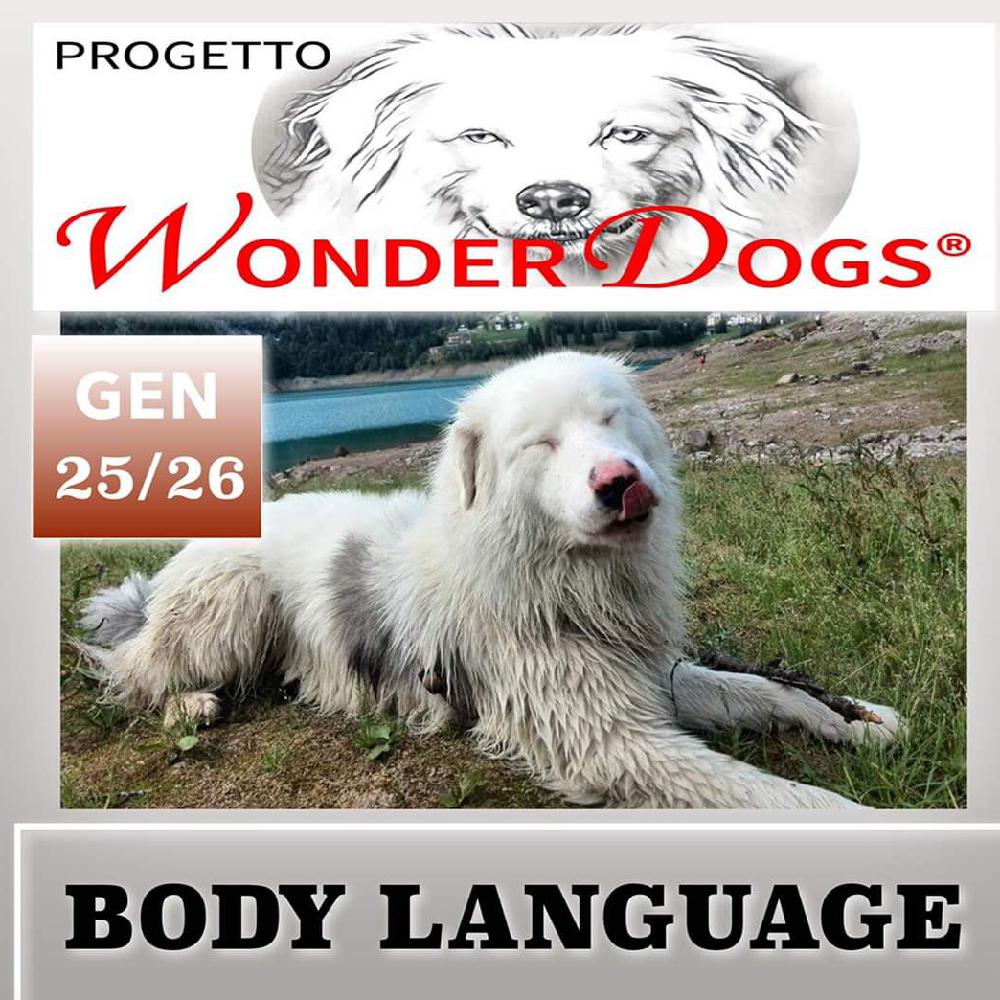 Immagine evento