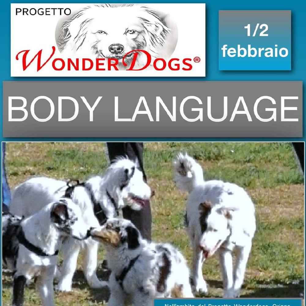 Immagine evento