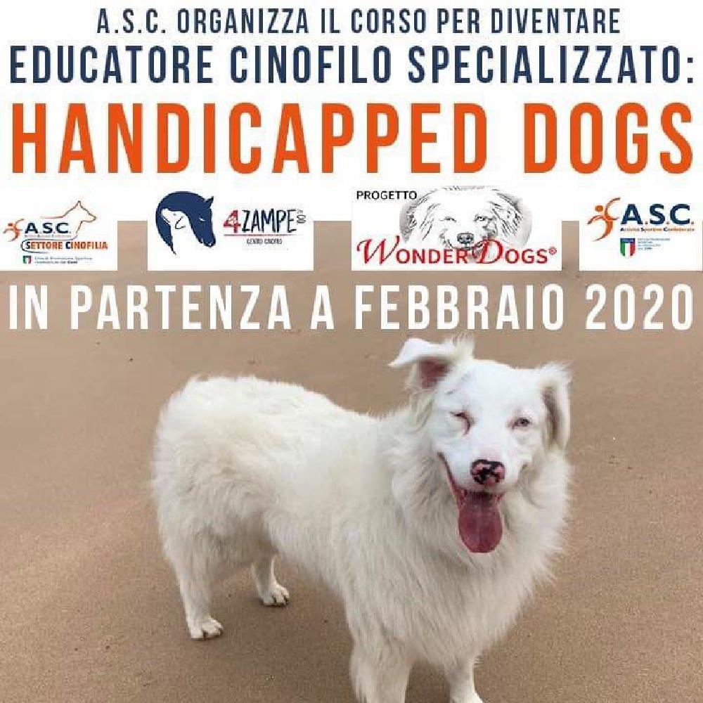 Immagine evento