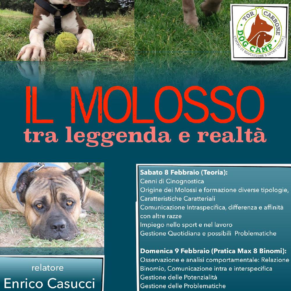 Immagine evento