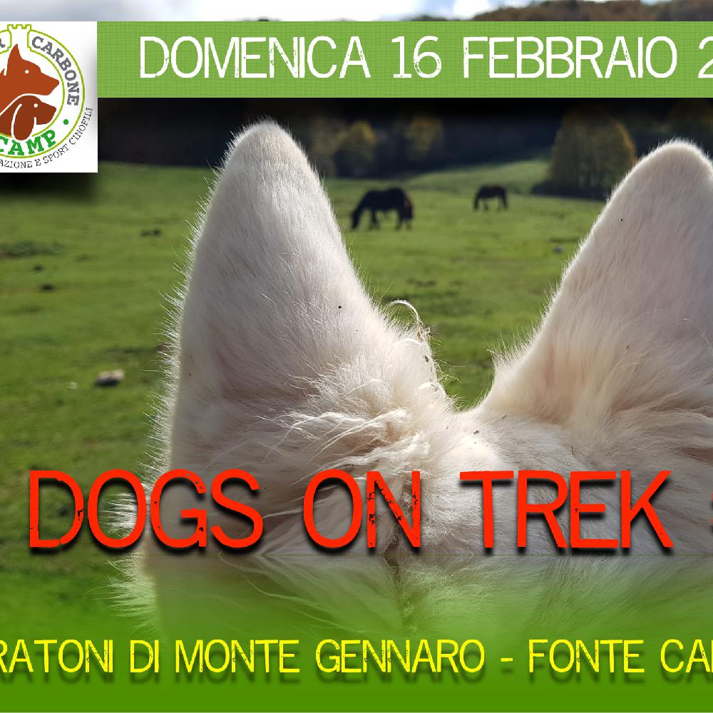 Immagine evento