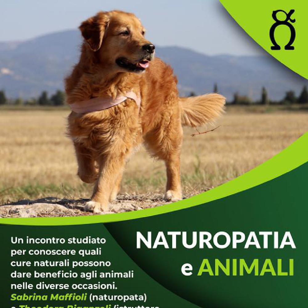 Immagine evento