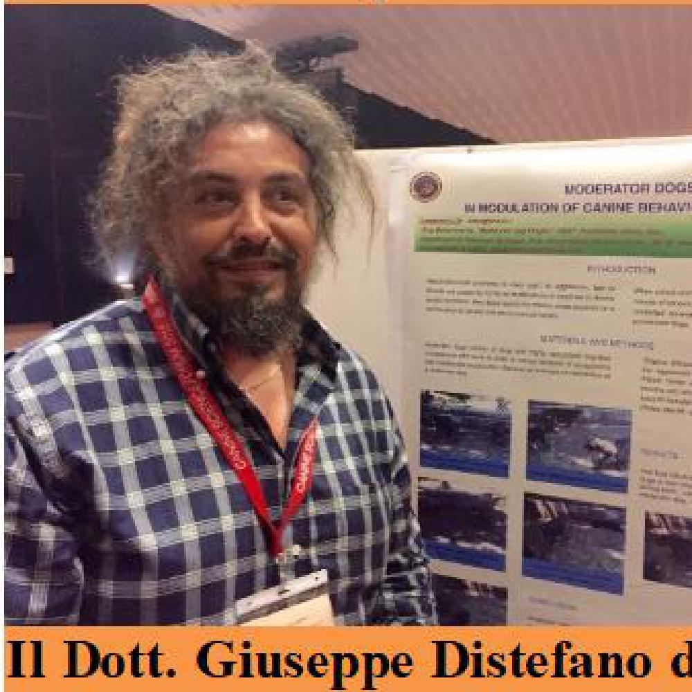 Immagine evento