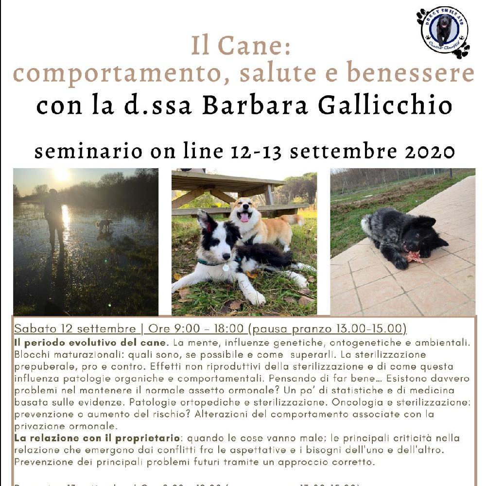 Immagine evento